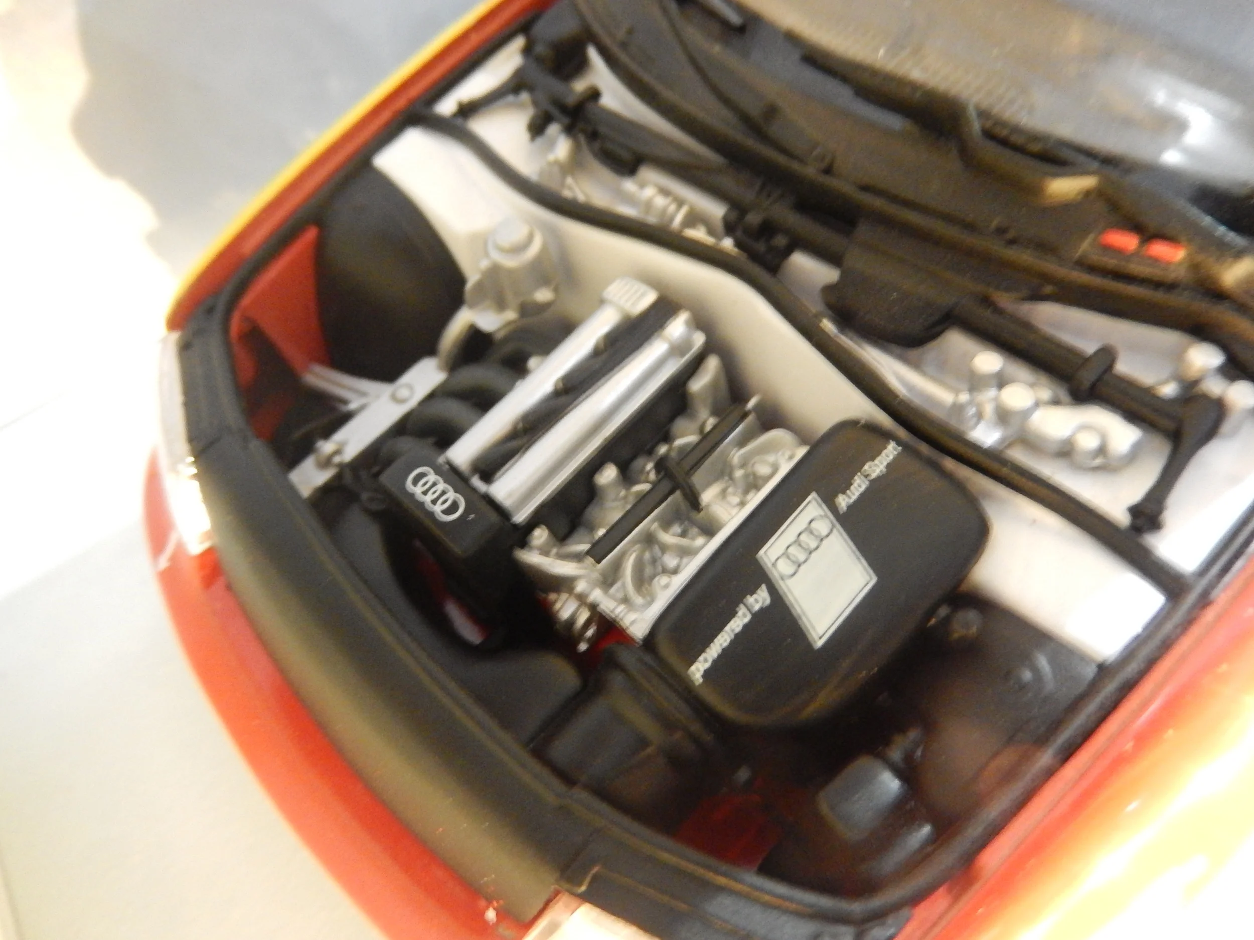 DSCN1738.JPG