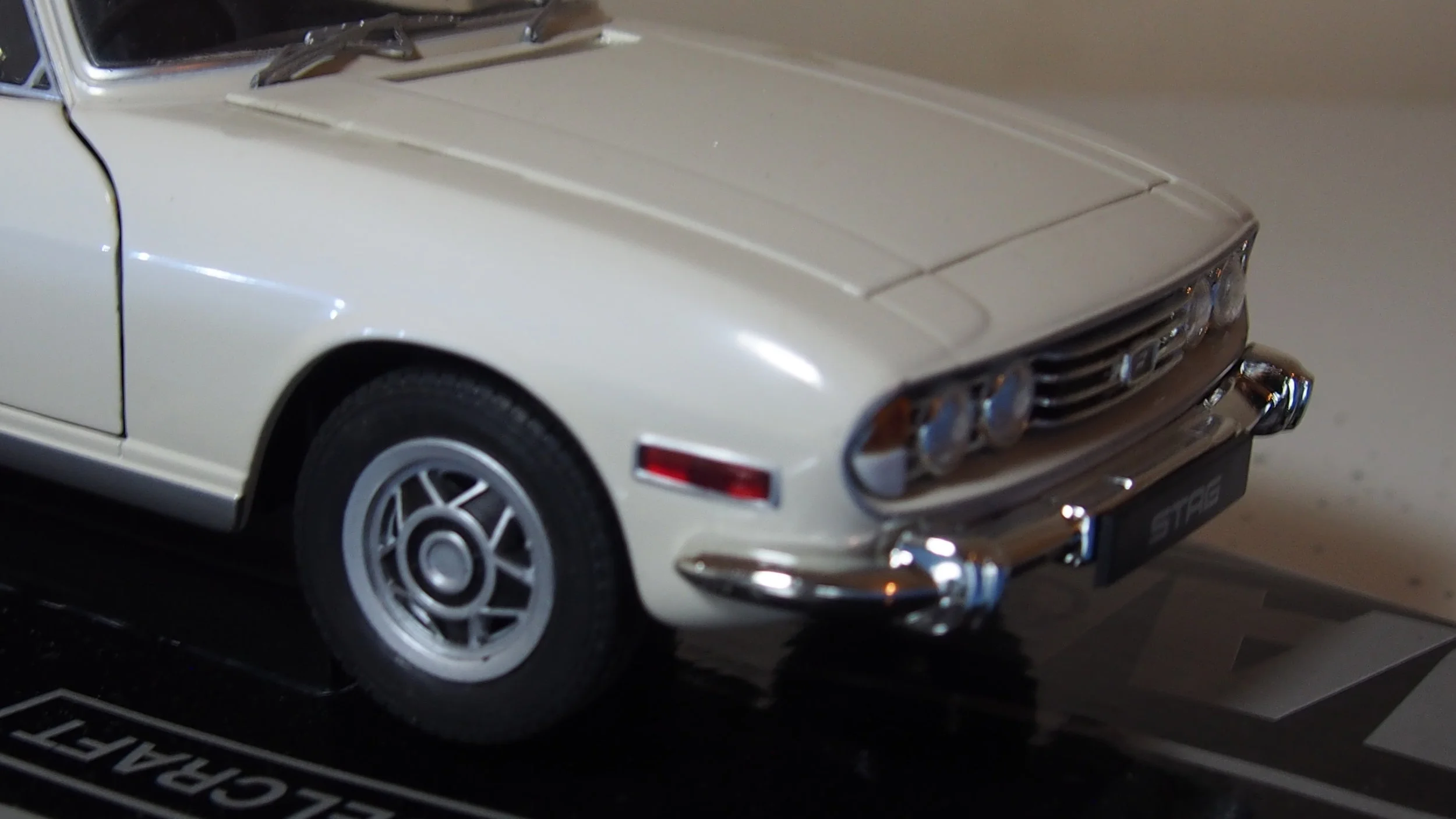 P1010101.JPG