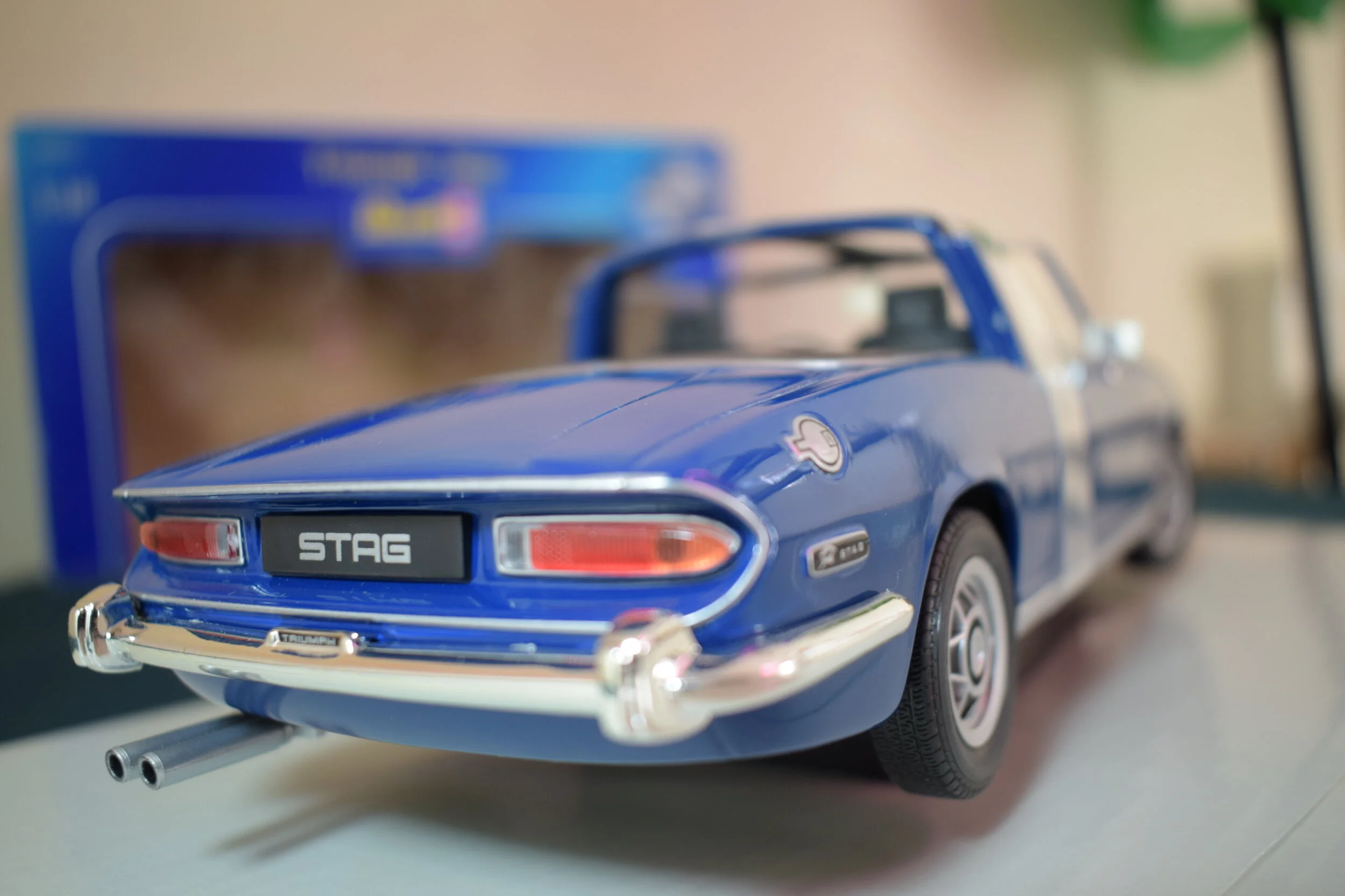 DSC_5984.JPG