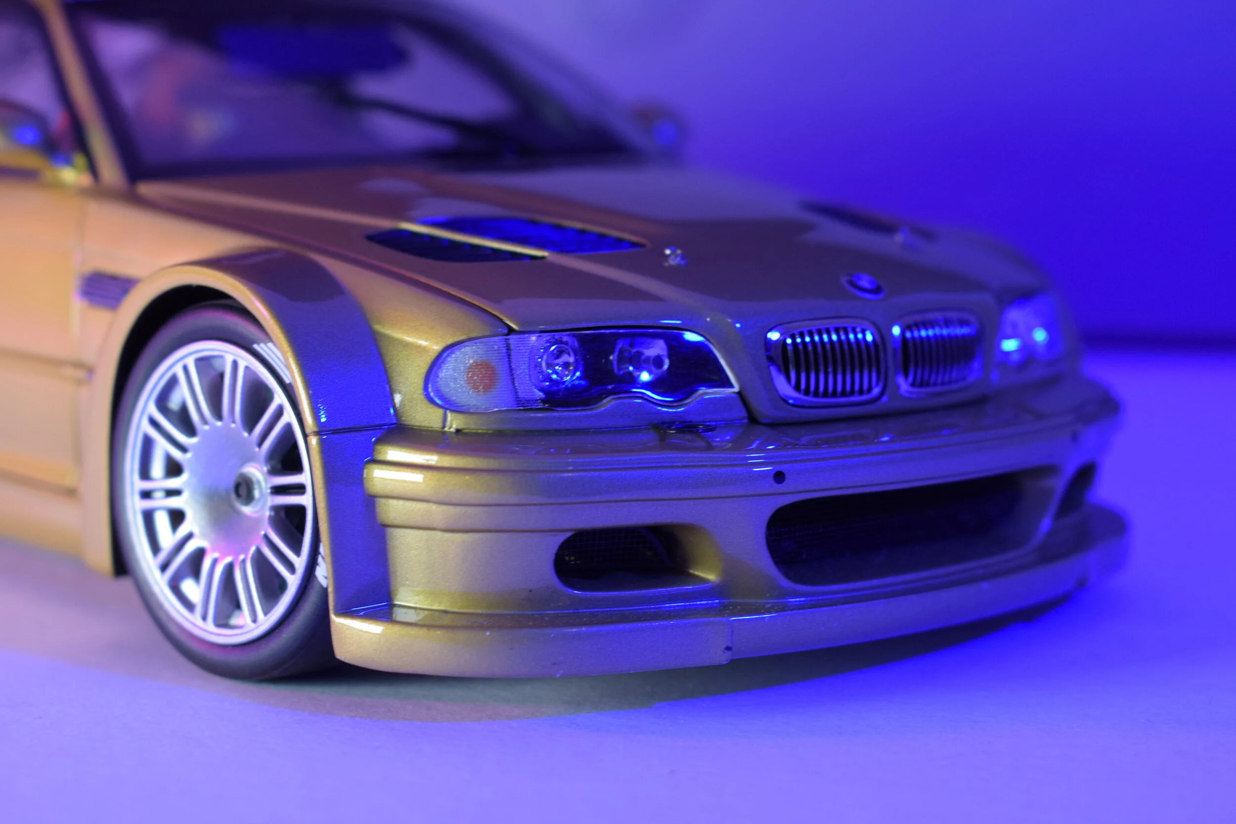 DSC_8378.JPG
