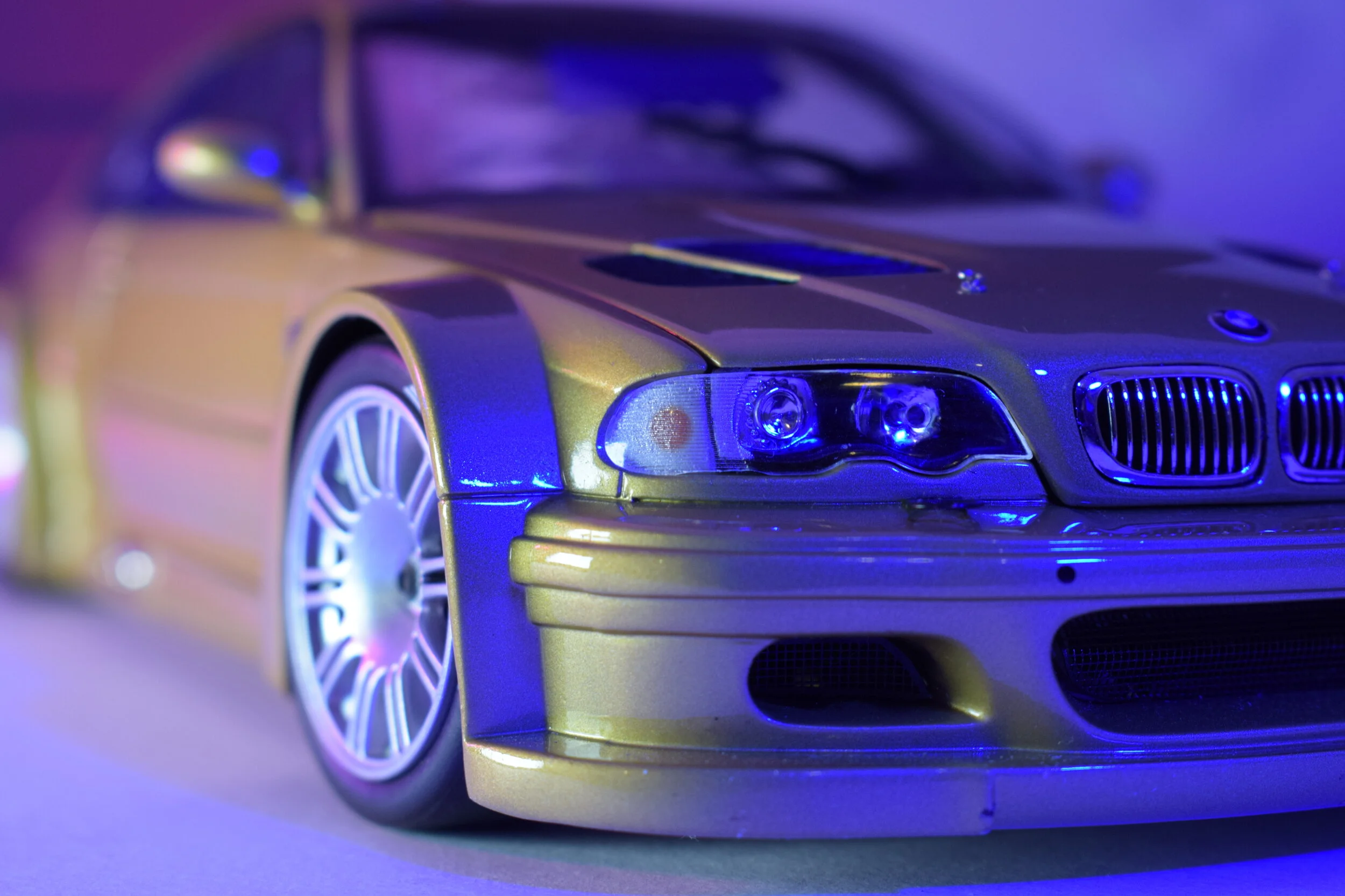 DSC_8381.JPG