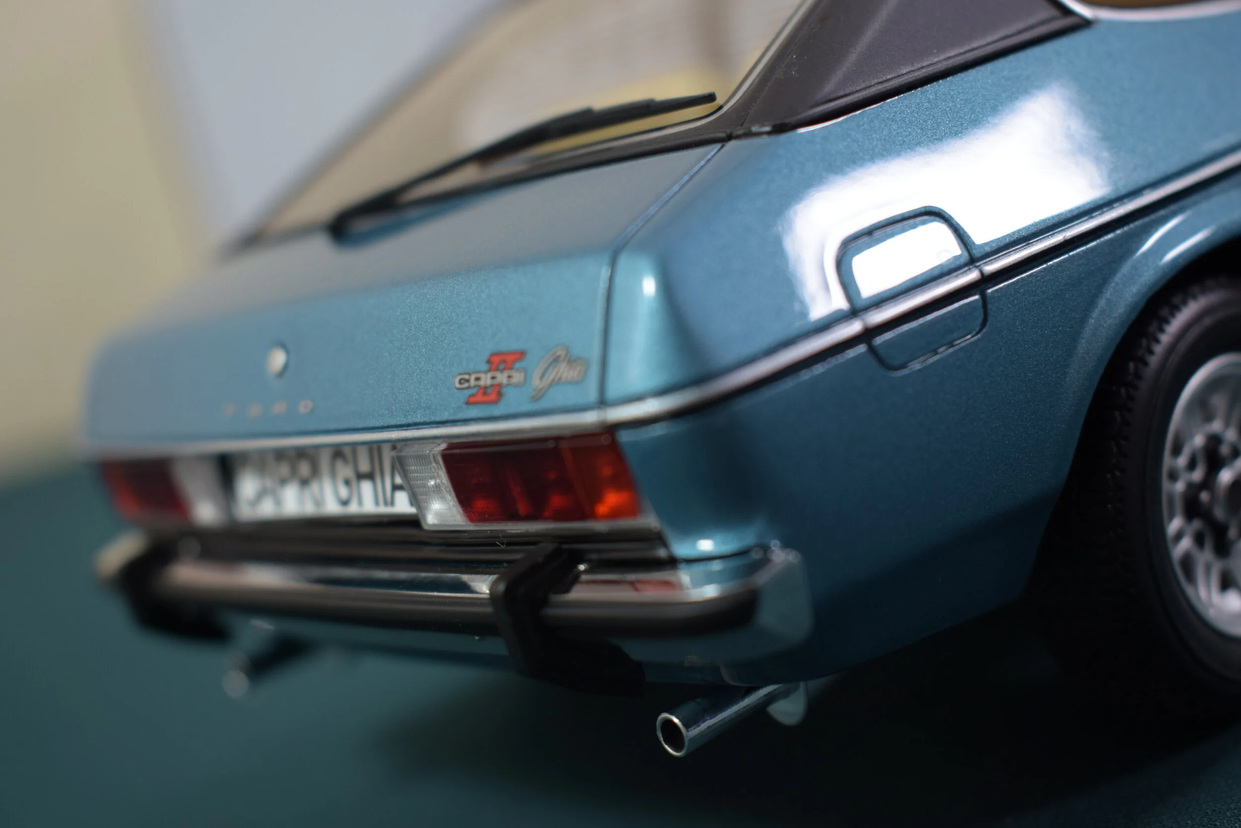 DSC_5365.JPG