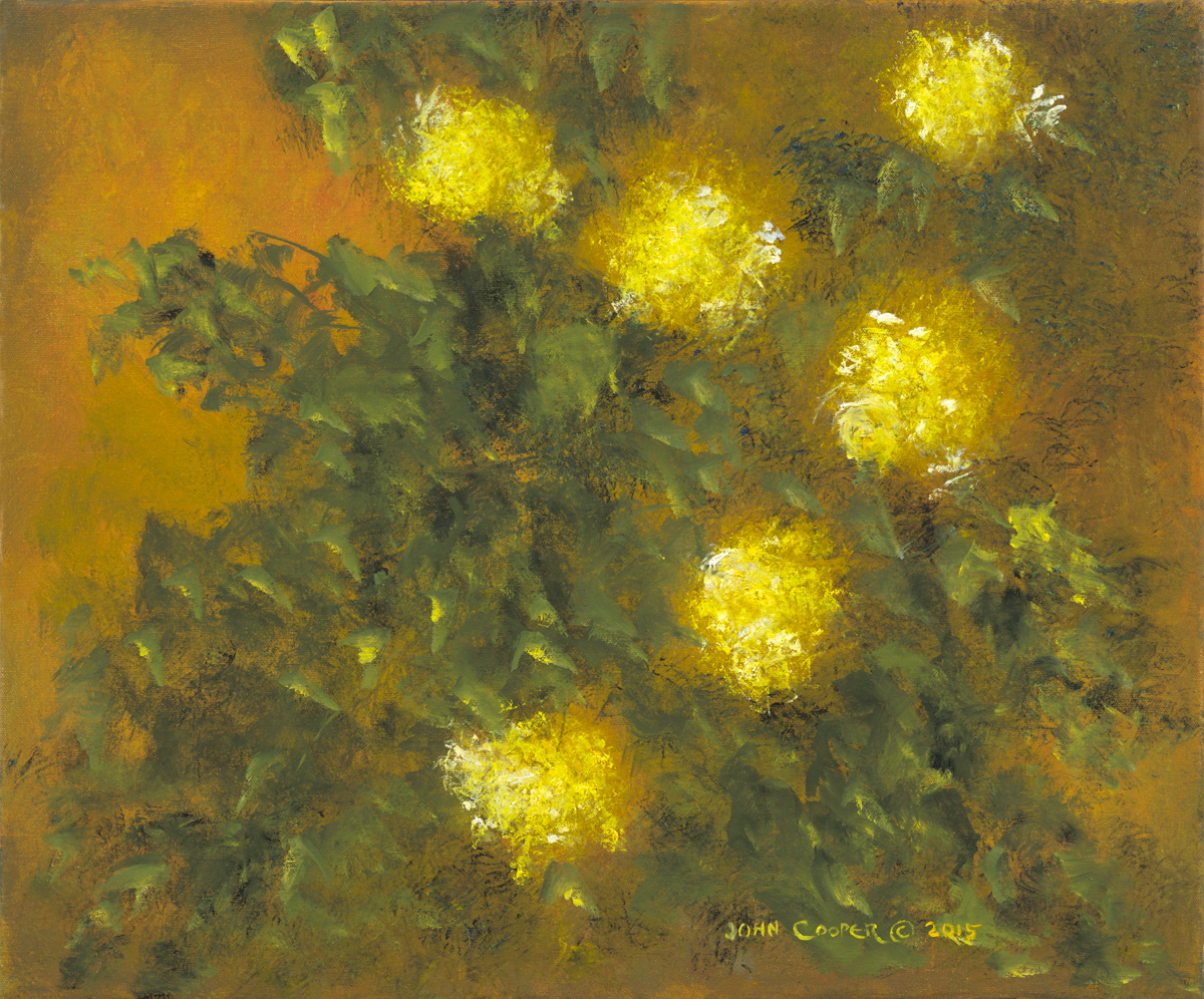 Yellow Mums