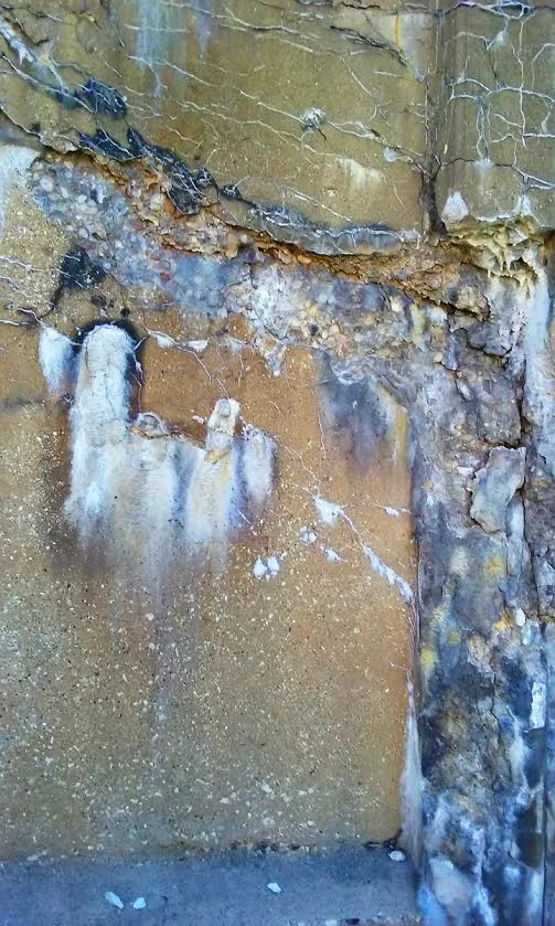 WA00503