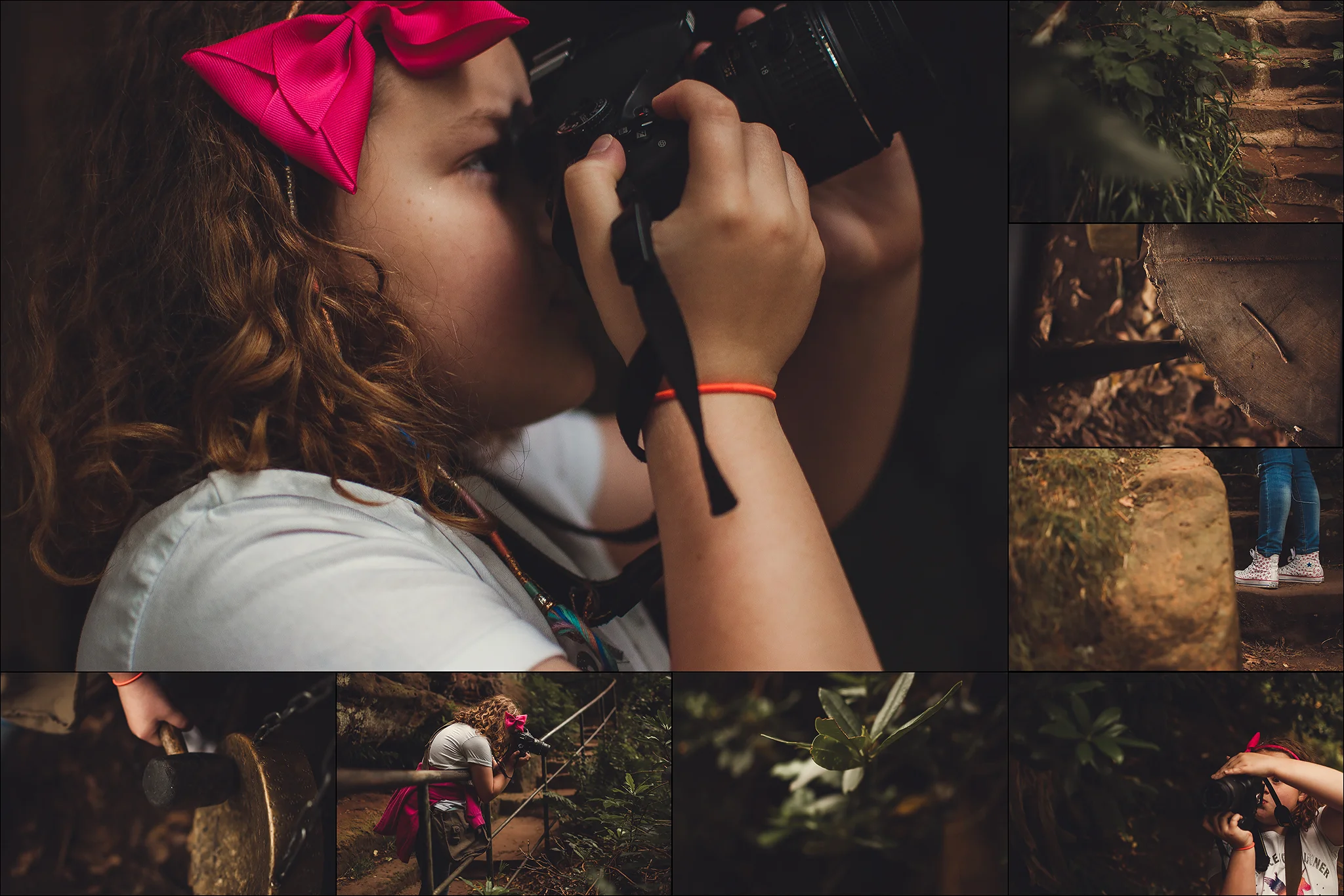 Hawkstone Park Follies with the Nikon D1x