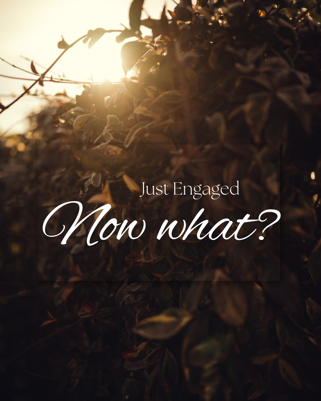 Just Got Engaged - Now What?