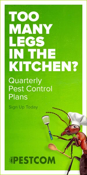 Pestcom_Residential_Ant_Kitchen_300x600.jpg