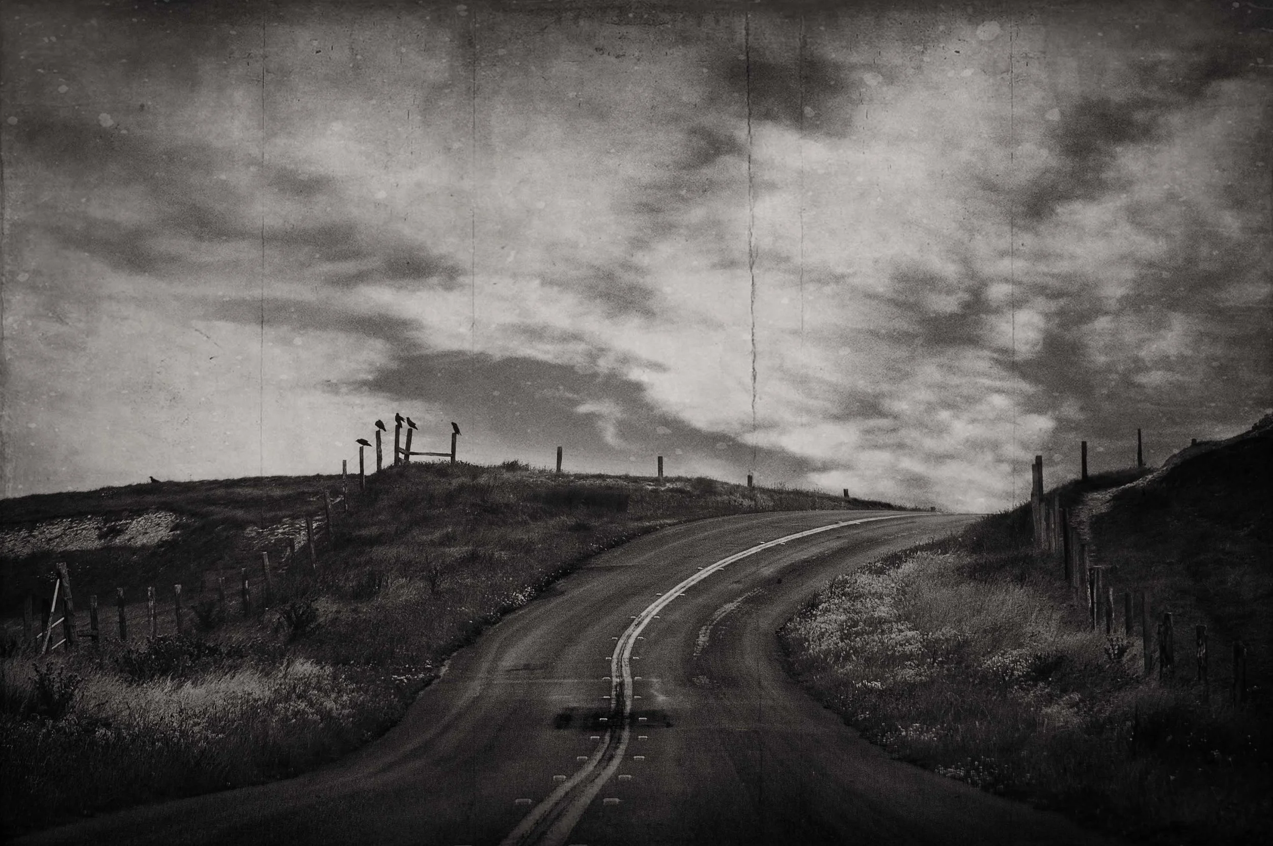 DSC_1844_BW.jpg