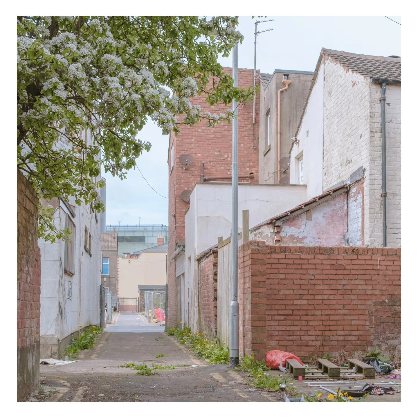 Blackpool...
.
.
.
.
.
.
.
.
.
.
.
.
.
.
.
.
.
.
#ntfbgroup #hurtlamb #reframedmag #futurebalance #noisemag