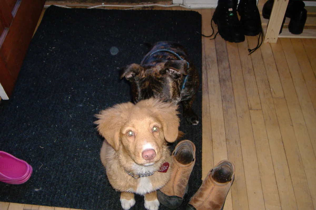 jan 05 024.jpg