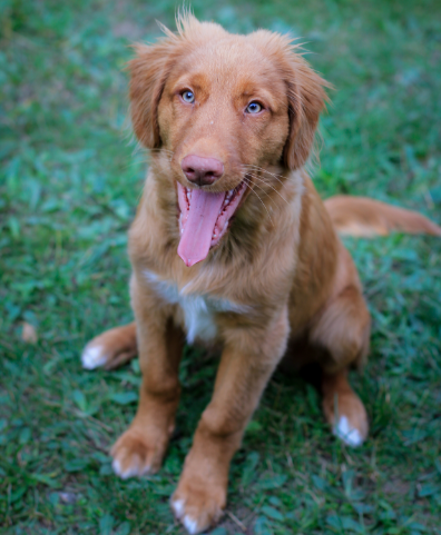Sawyer at 5 months