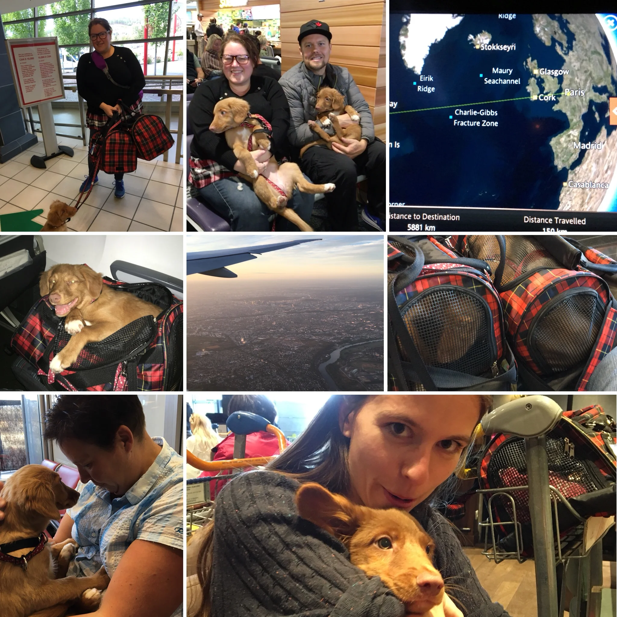 Photos from our recent delivery trip to Paris for the JoyRide litter’s Rover and Shelby. The loving owners met us at the Charles de Gaulle Airport in Paris and travelled onward to the south of Germany and Edinbugh, Scotland.