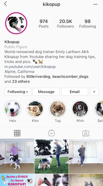 @kikopup Emily has hundreds of Youtube dog training videos and her methods are positive plus proven.