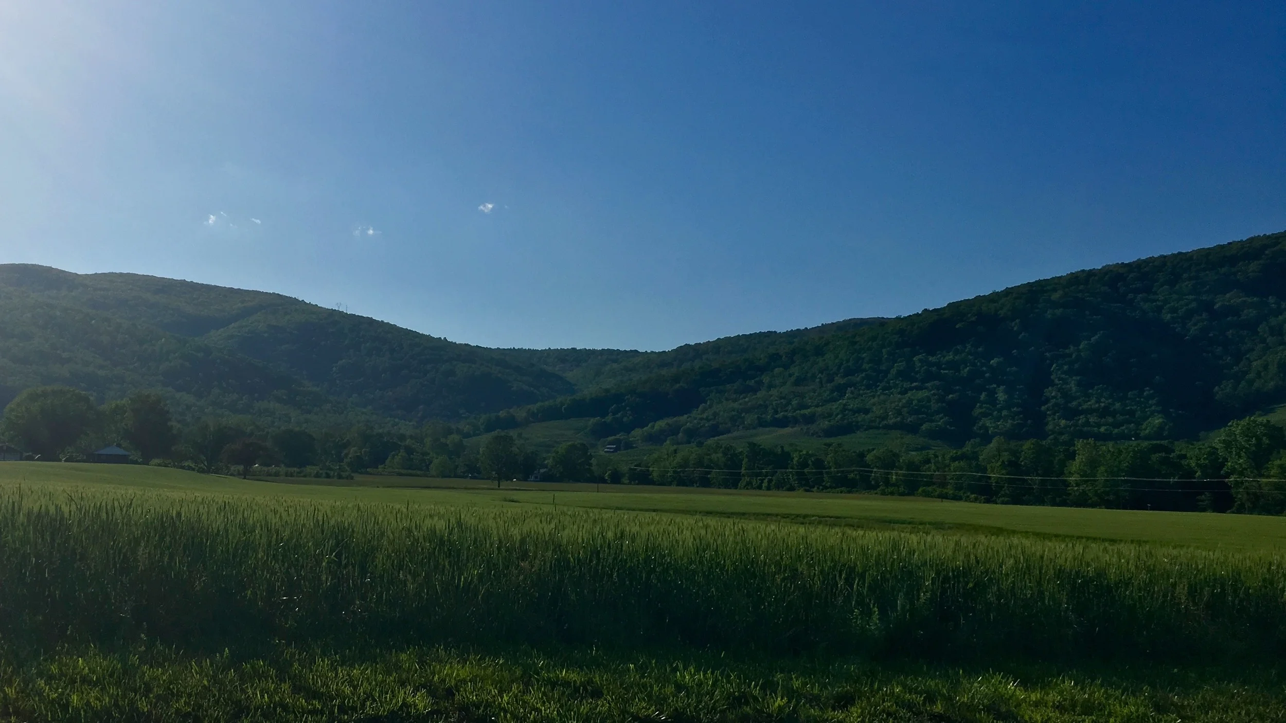 fidelis-farm.jpg