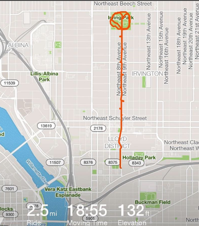 Entry # 3 "A Rose for Lloyd" Bike ride