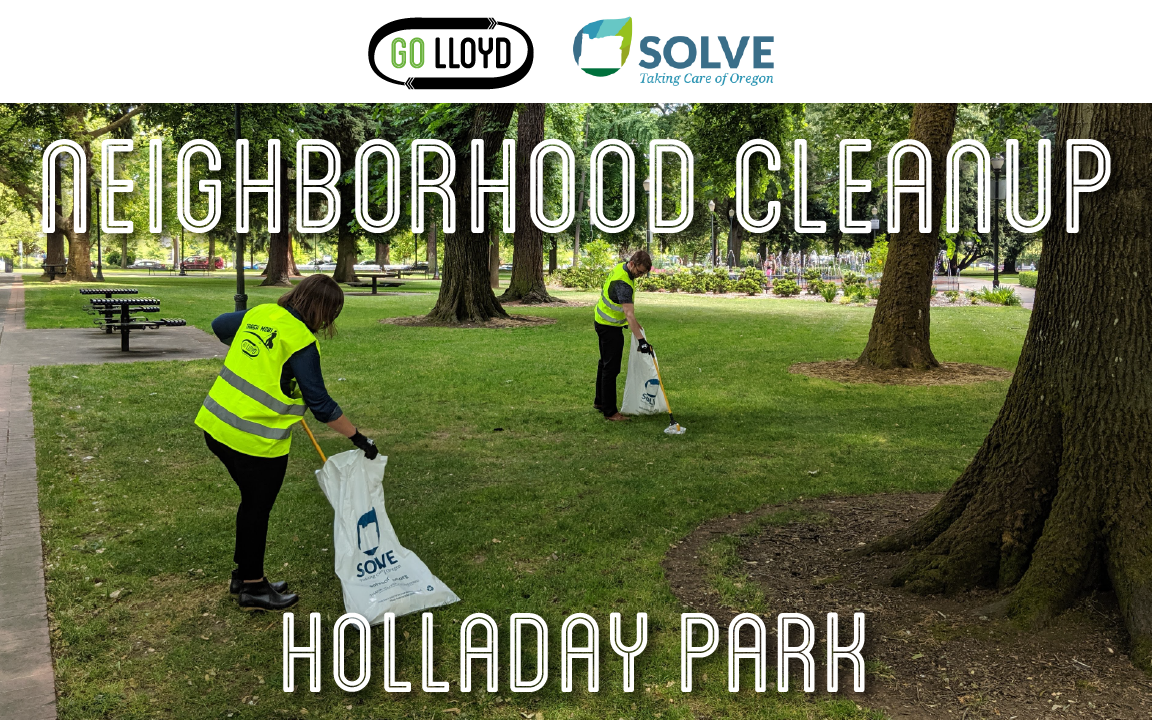 GL and SOLVE Neighborhood Cleanup Website Image.png