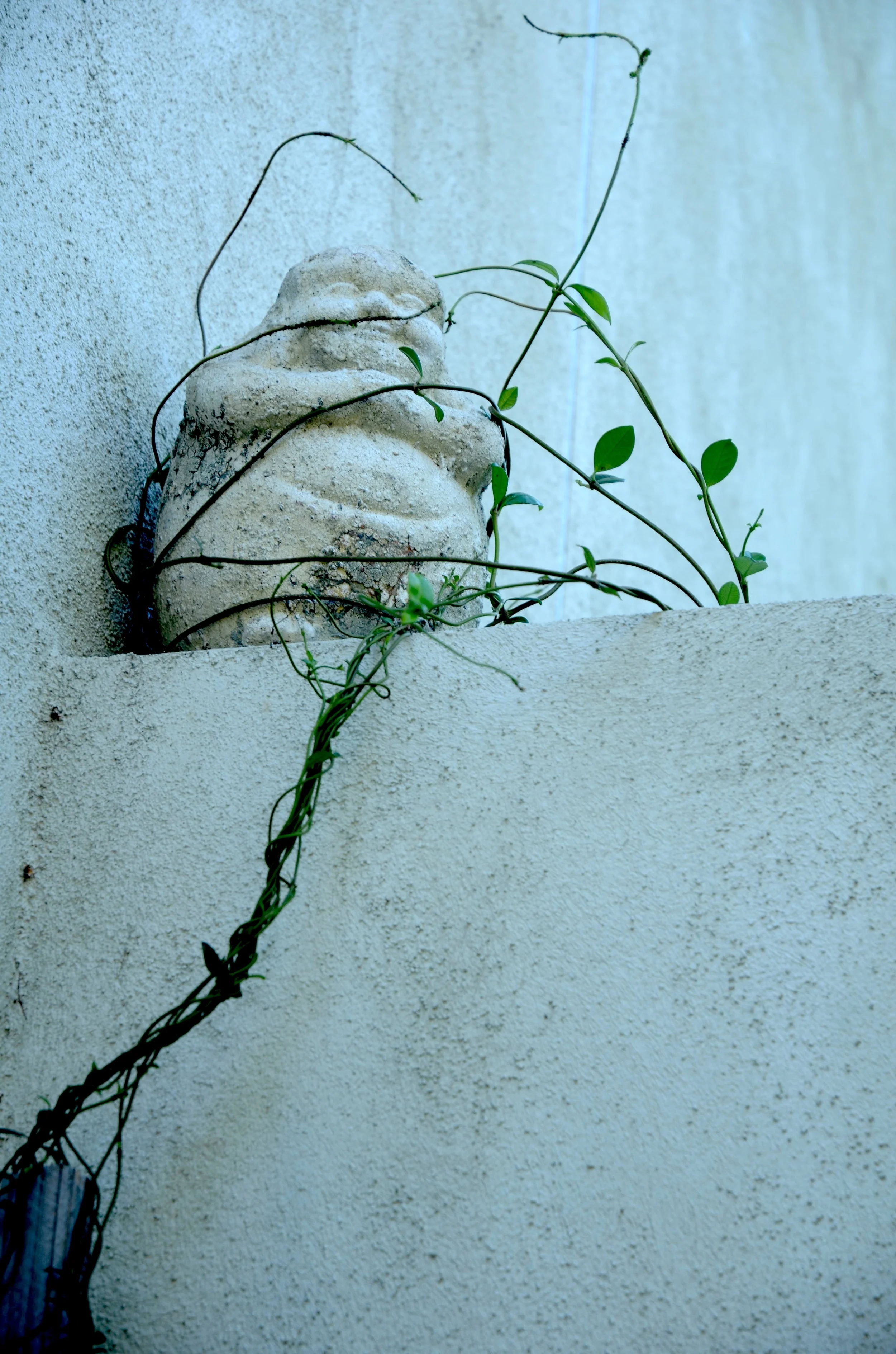 garden1.jpg