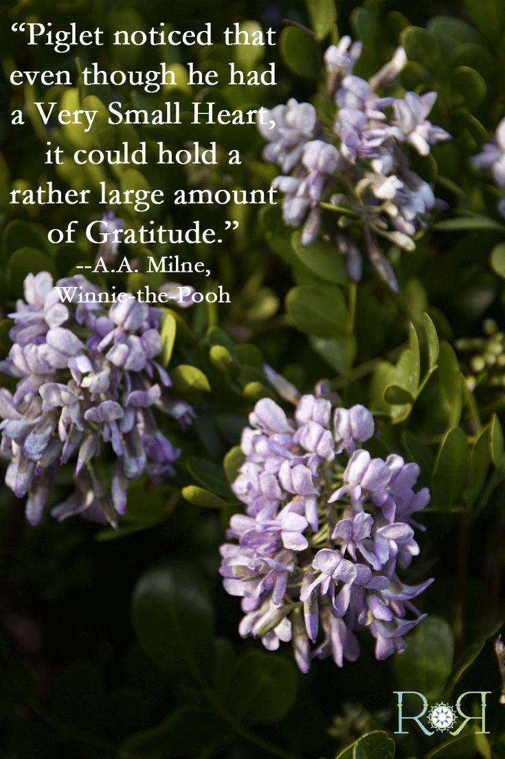 Gratitude