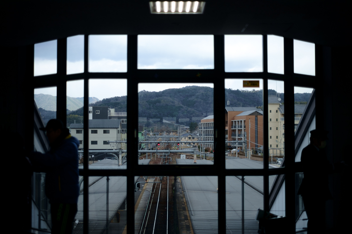 DSCF4546.jpg