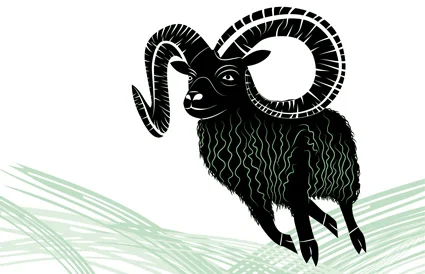 Detailed predictions for the Year of the Wood Sheep