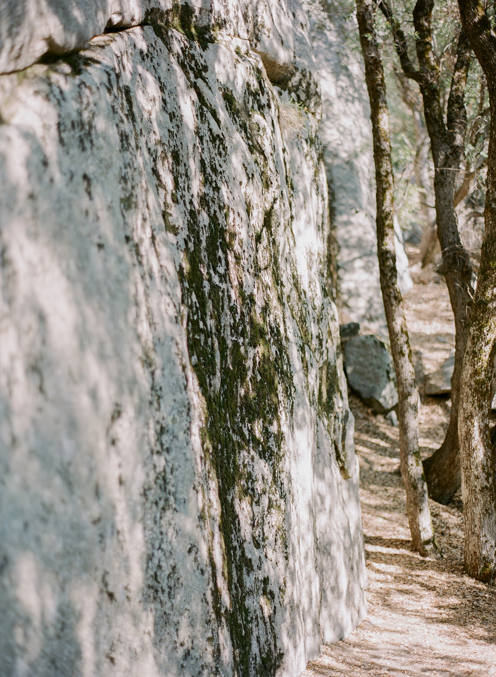 Base of The Nose, El Capitan