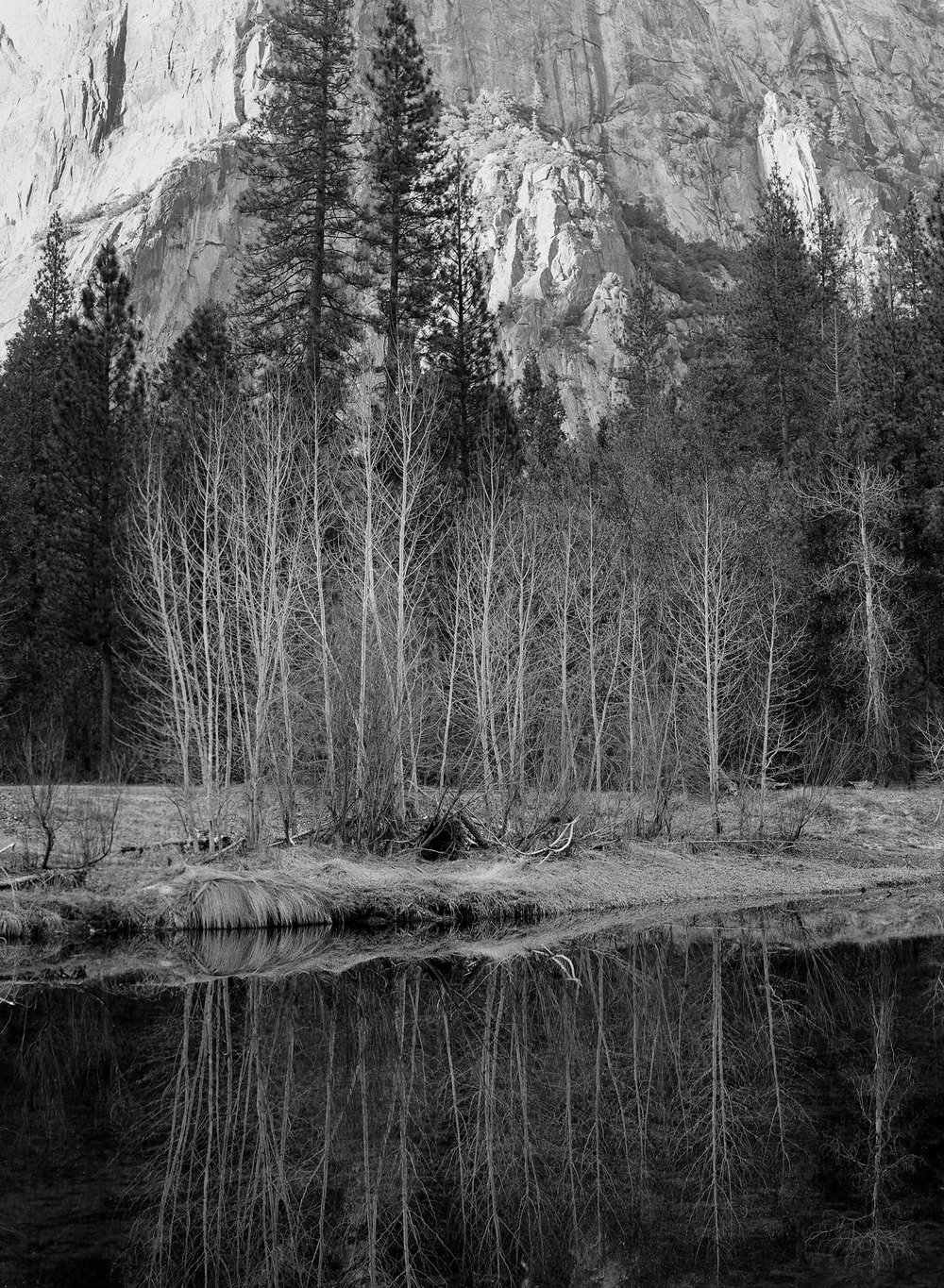 Merced Reflection, Yosemite Valley