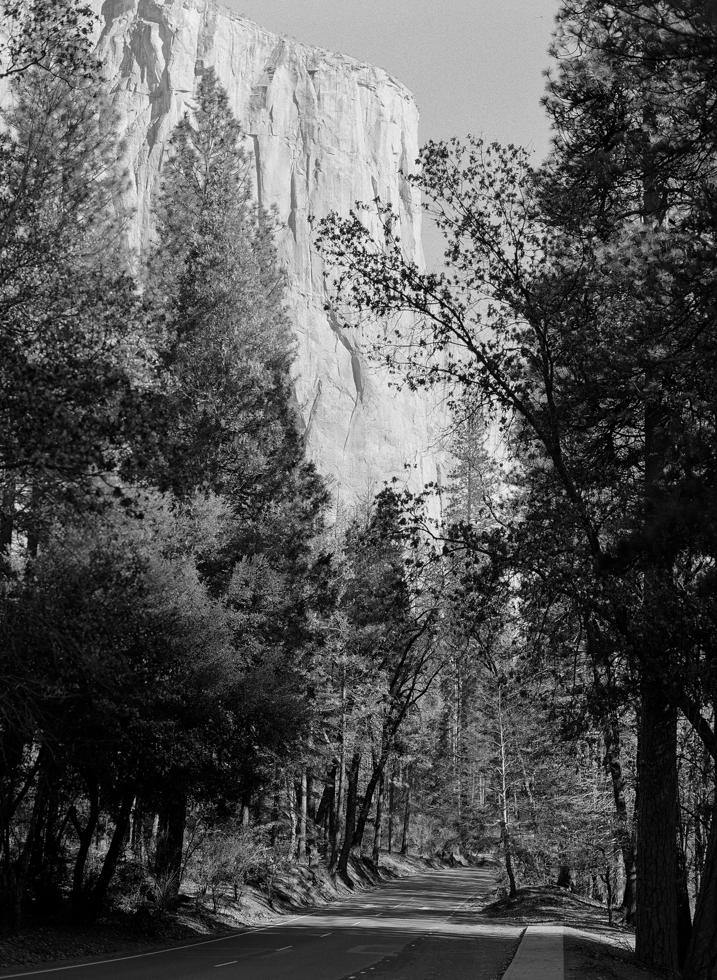 El Cap From Northside Drive, Yosemite Valley
