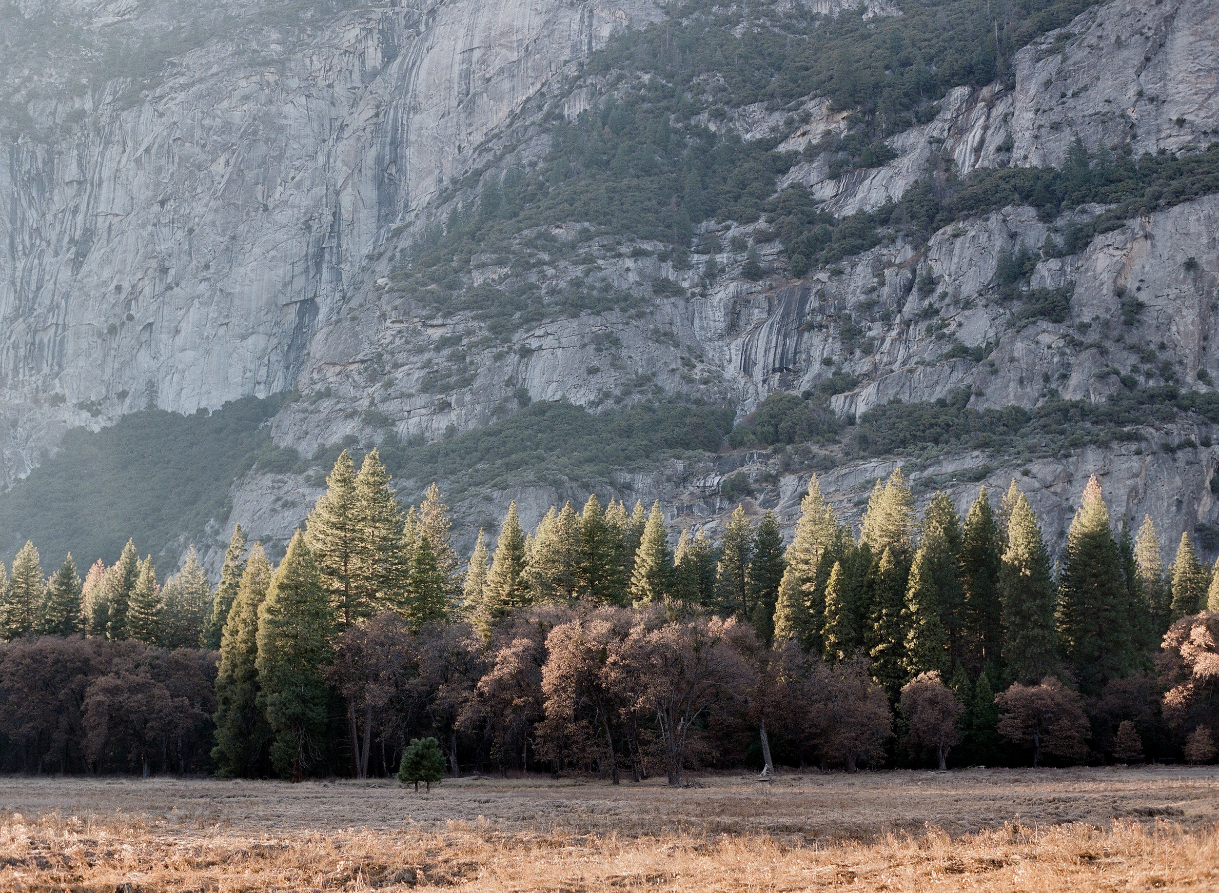 Cook's Meadow, Sunset, Yosemite Valley