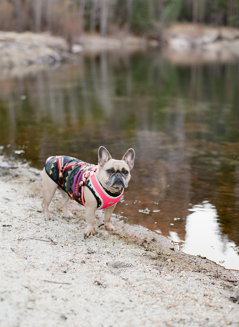 Sentinel Beach Portrait, Yosemite Valley