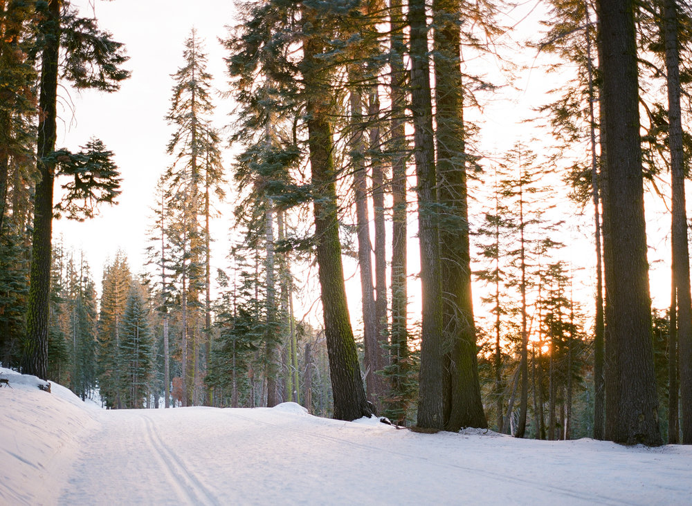 Glacier Point  Road