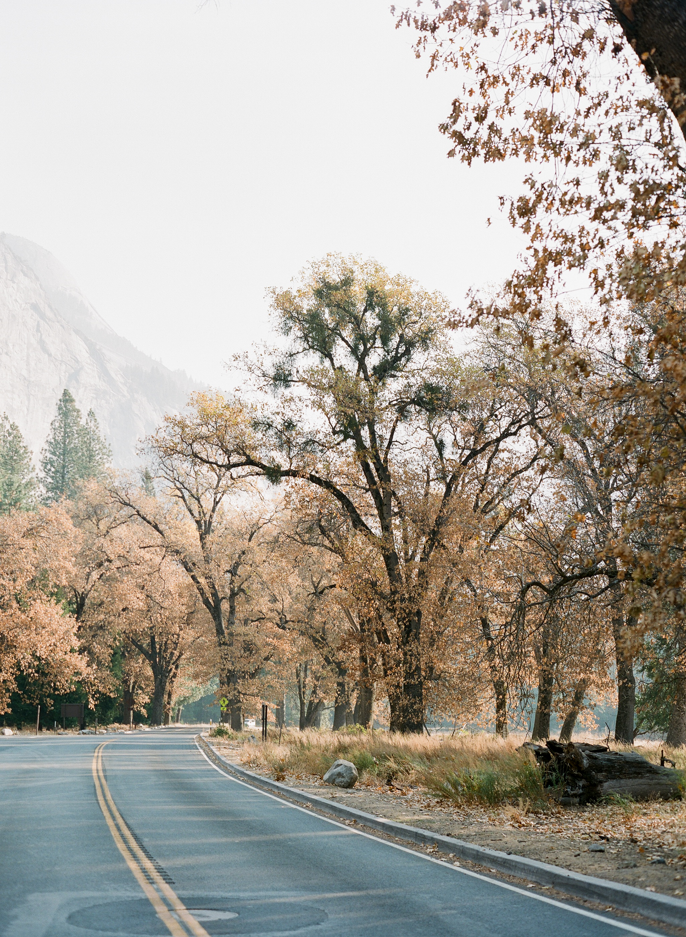 Brandon Sampson-2018-11-Yosemite-20.jpg