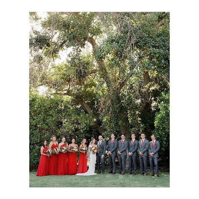 Roll call with your best friends ❤️
⋮
 #film @Richardphotolab
⋮
⋮
#ishootfujifilm #fuji400h #contax645 #filmphotographer #realwedding #engagementphotographer
#sfweddingphotographer #filmisnotdead  #destinationwedding #thatsdarling #weddingphotographe