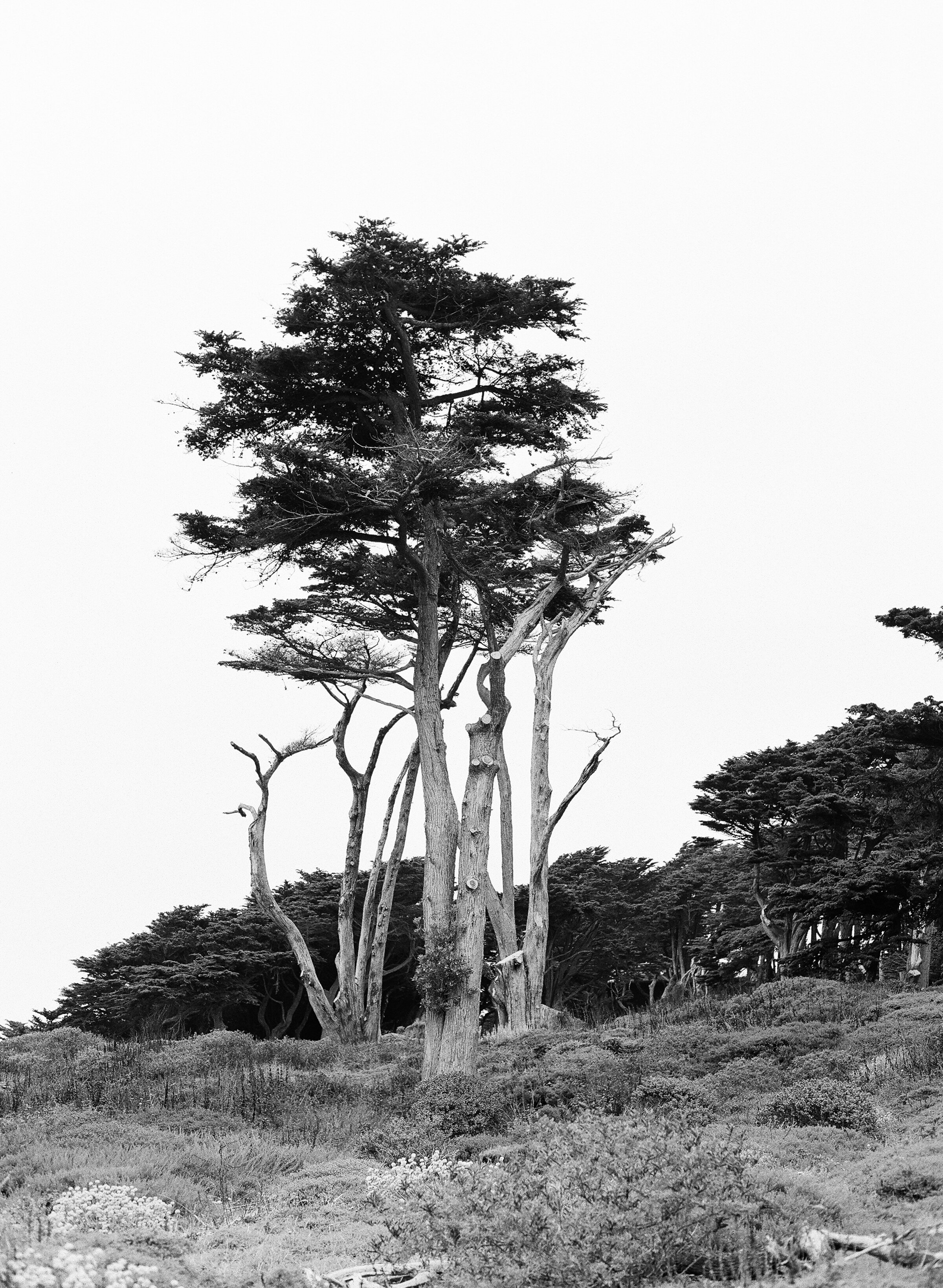 Brandon Sampson-SF-180629-ilford hp5-15.jpg