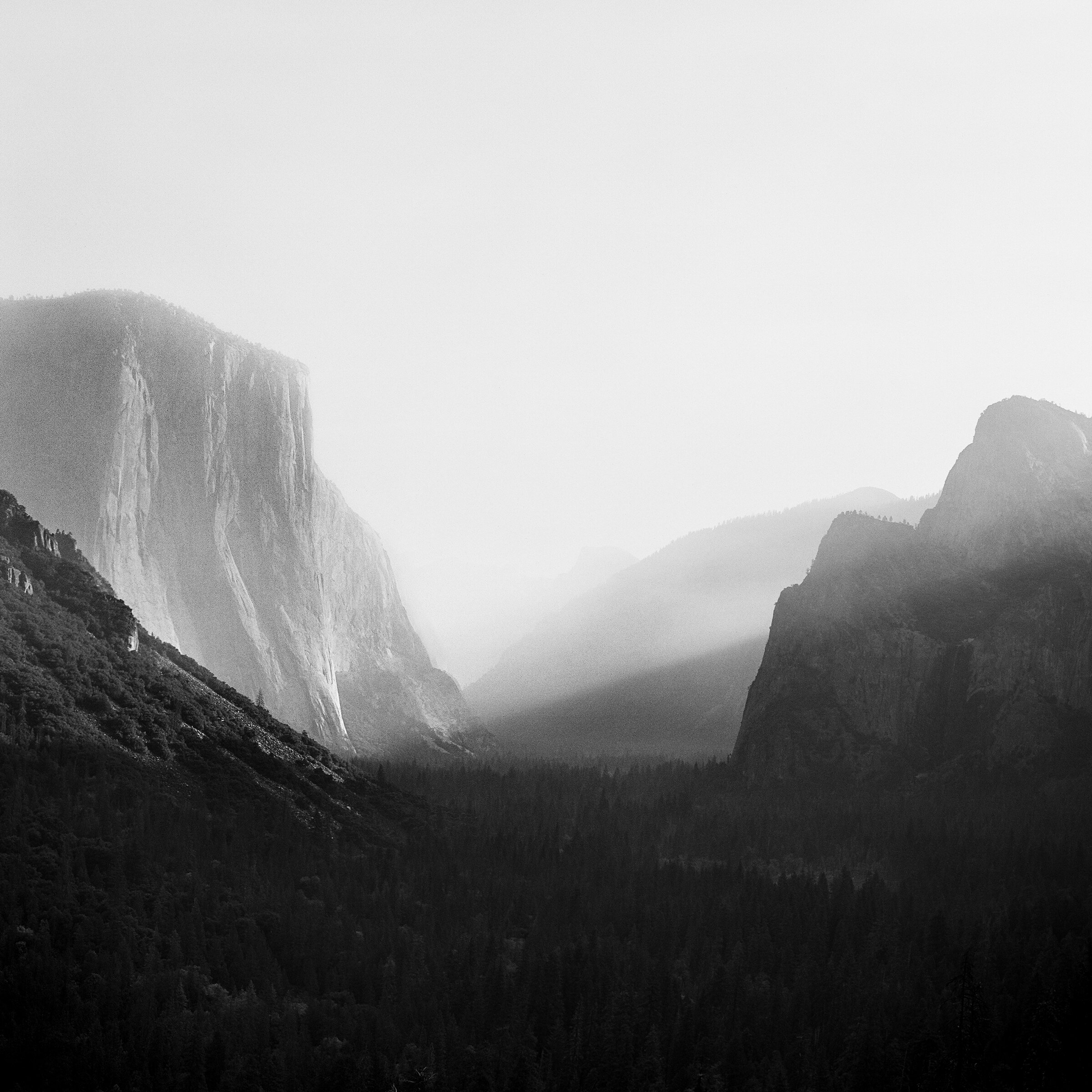 Brandon Sampson-Yosemite Valley View-BW Sunrise 2018-.jpg