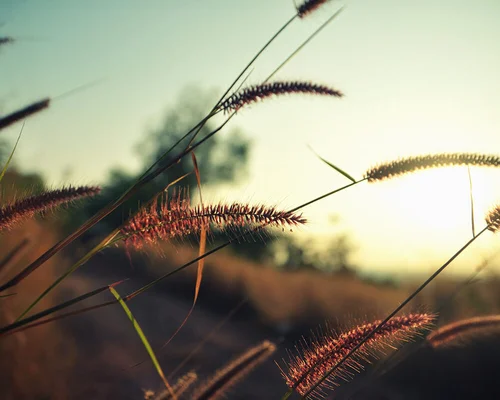 Large Format Poster And Banner Printing Services London UK