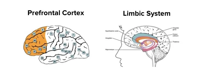 lim & pfc 2.jpg