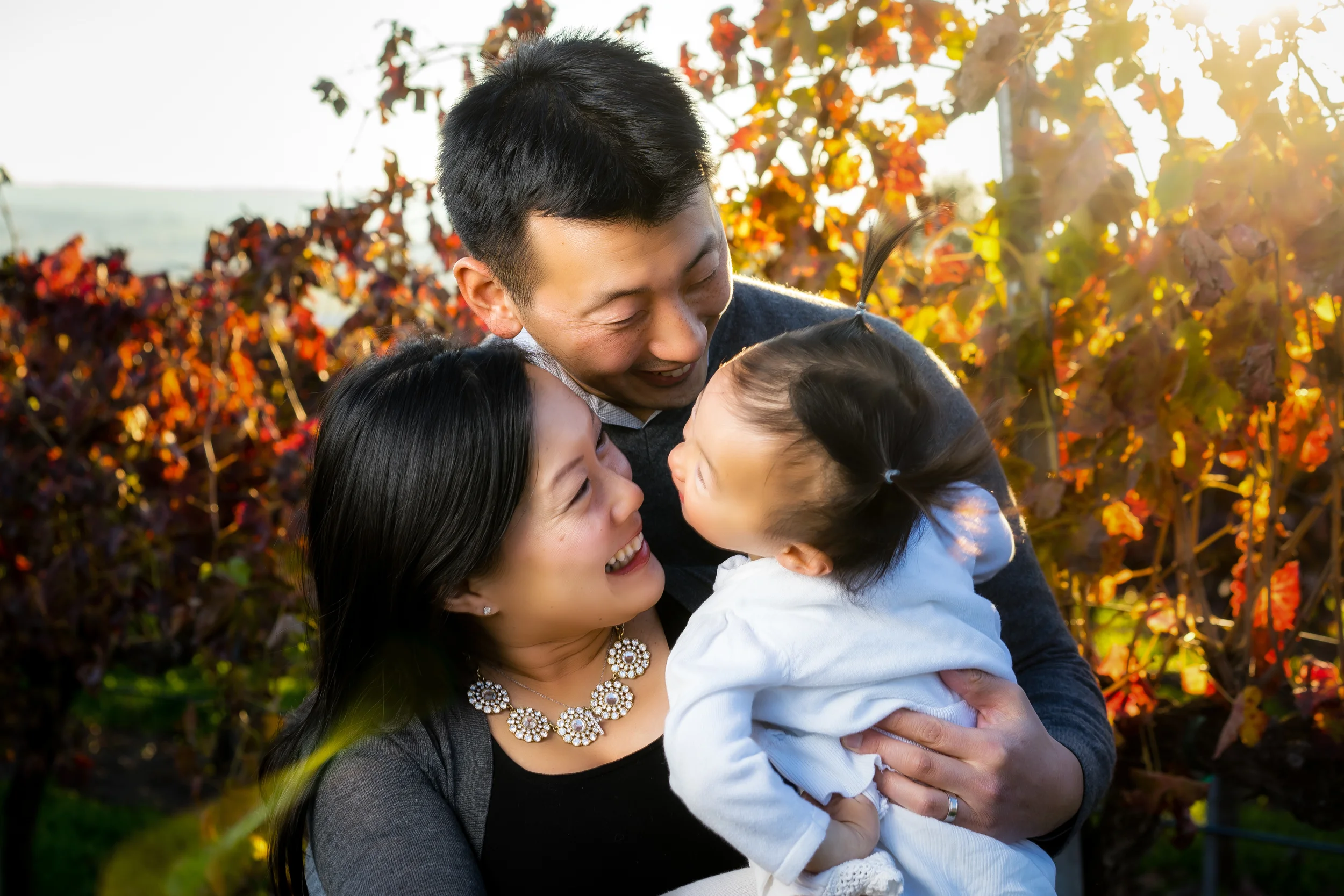 Feng Family three.jpg