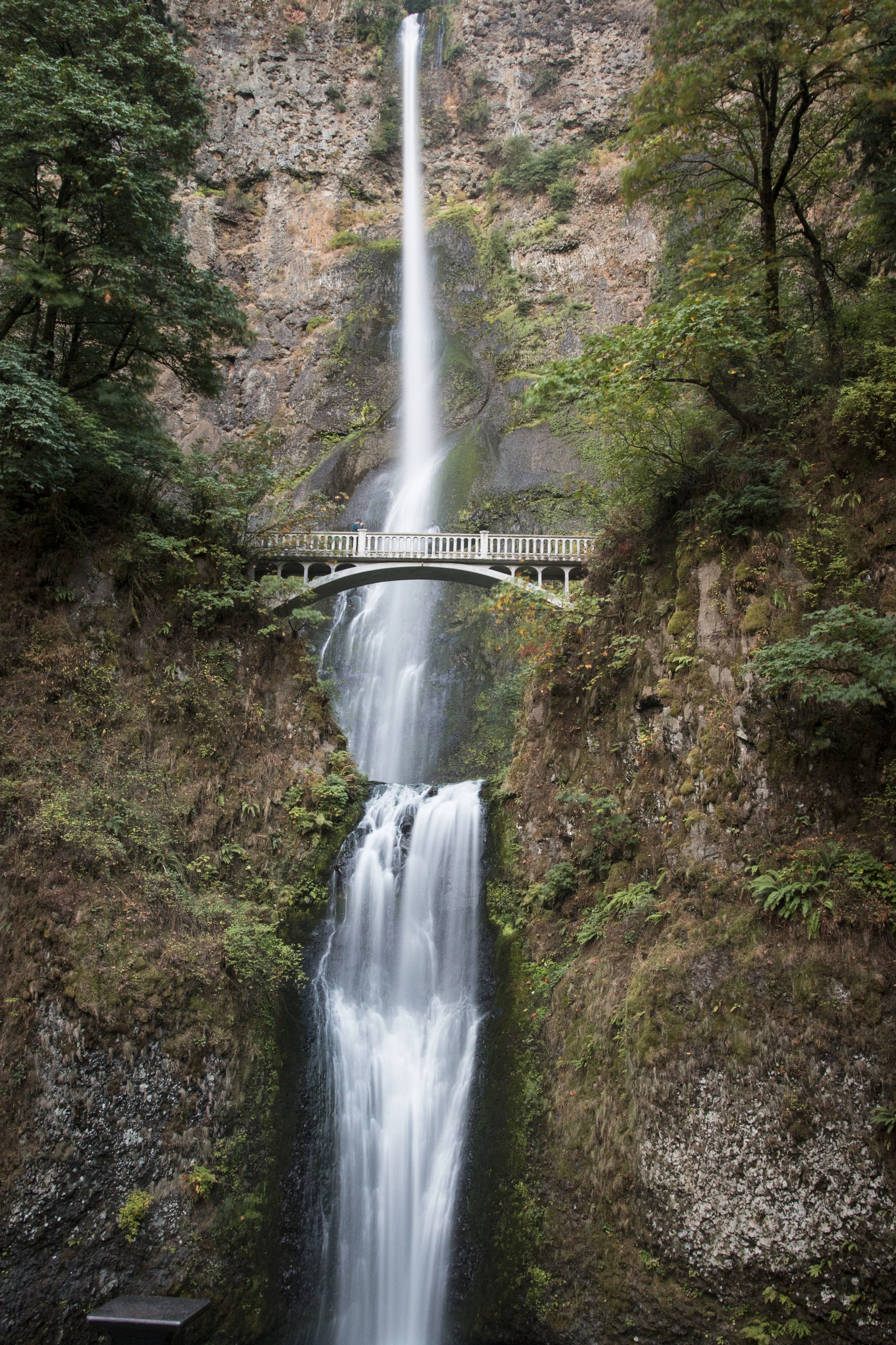 water full 1.jpg