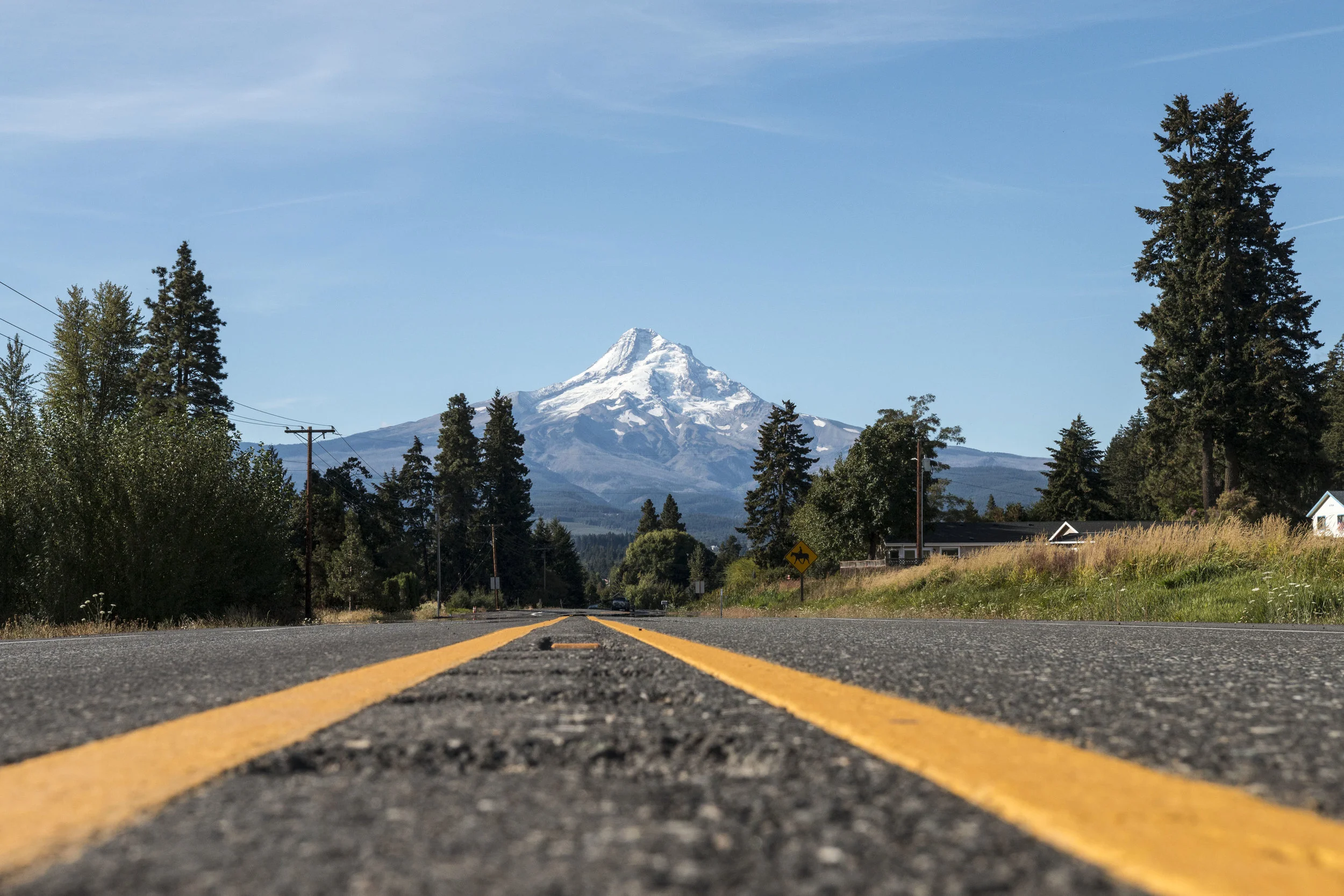 road 1.jpg