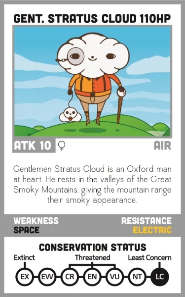 stratus_cloud_card-01.jpg