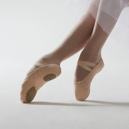 Ballet 101 Workshops