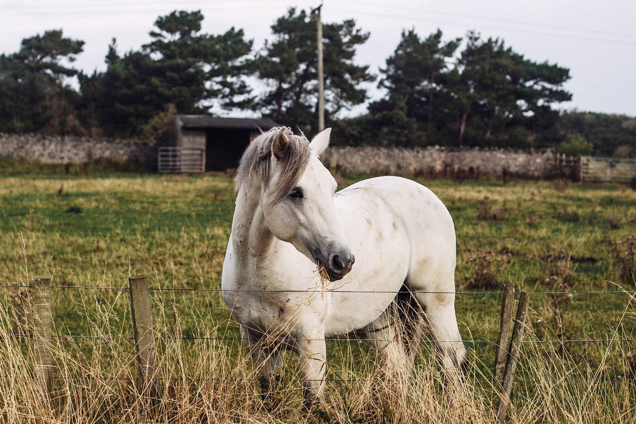 photographed  by Robbie Lawrence