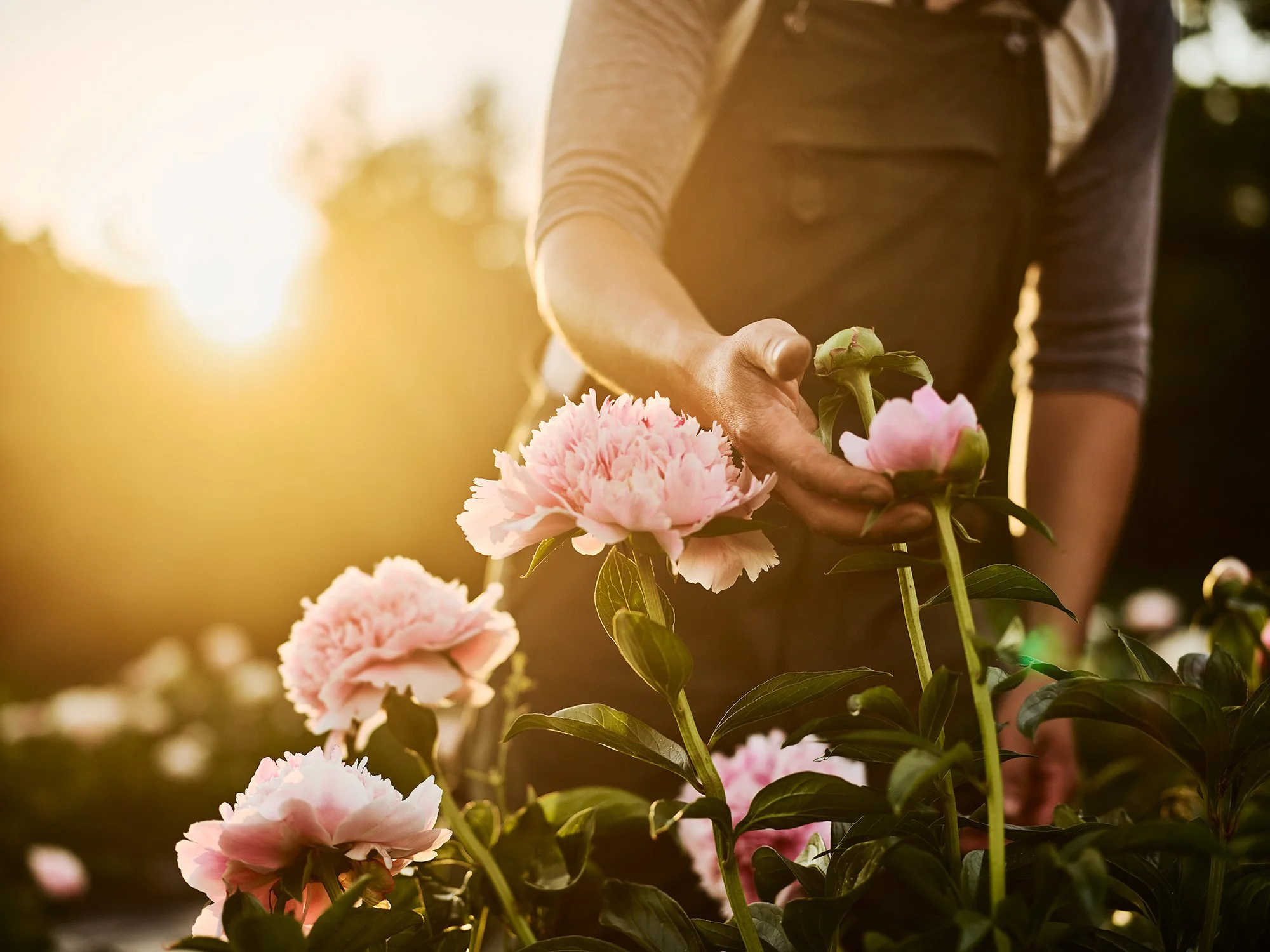 Fivefork Farms photographed by Christopher Churchill