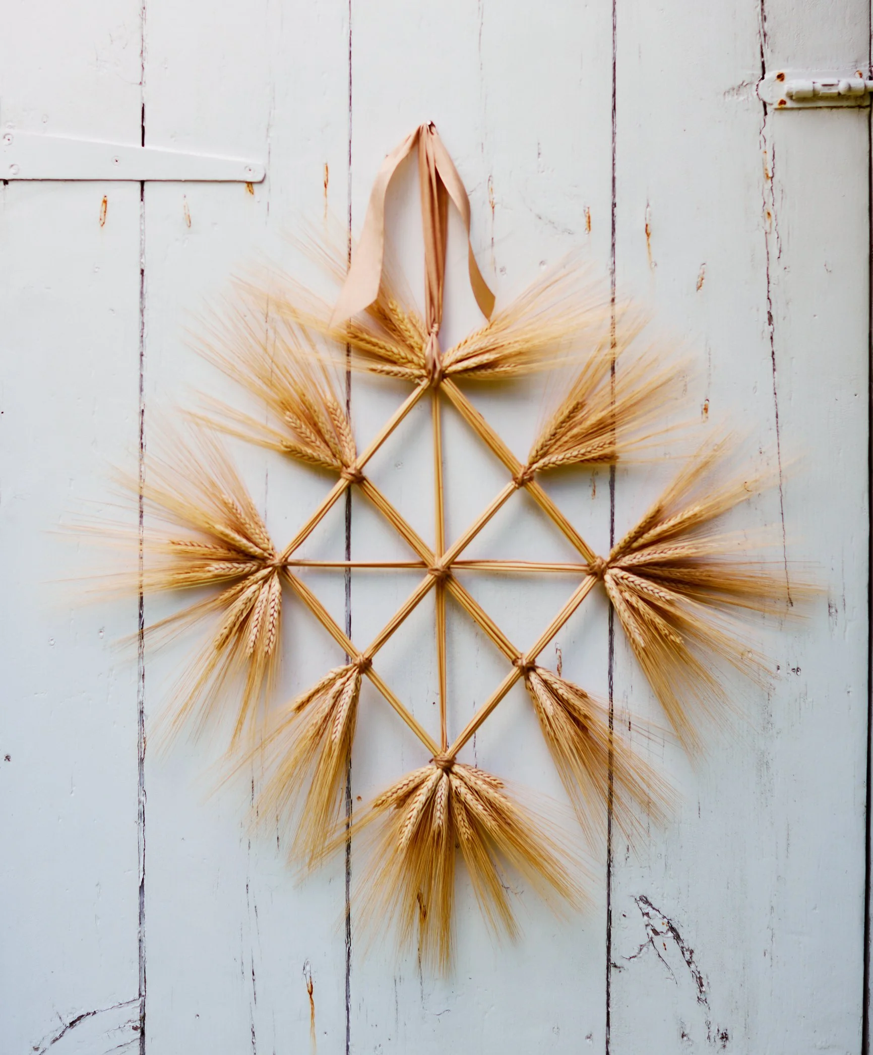 Wheat photographed by Johnny Miller