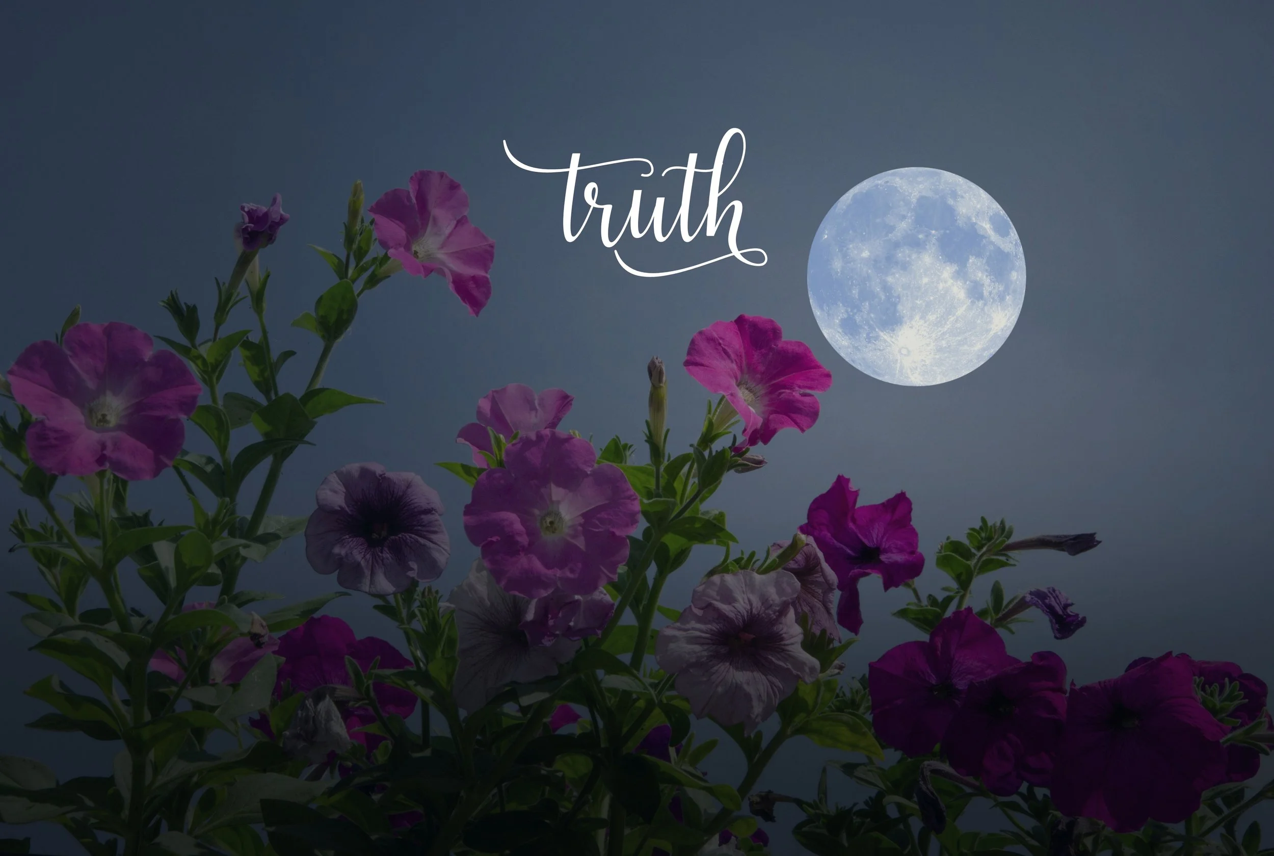 Scorpio Flower Moon '26.jpg
