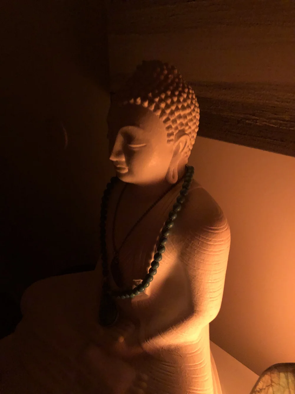 Ahimsa Holistic Wellness Fund