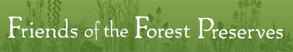  Friends of the Forest Preserves unites people to protect, promote, and care for the forest preserves in Cook County.   Support the 2023 Conservation Corps Fundraiser today and your donation will be TRIPLE MATCHED!  As the only independent nonprofit 