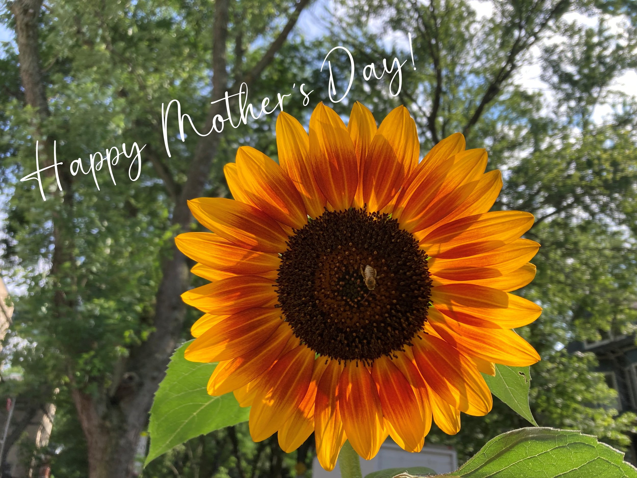 Happy Mother’s Day!