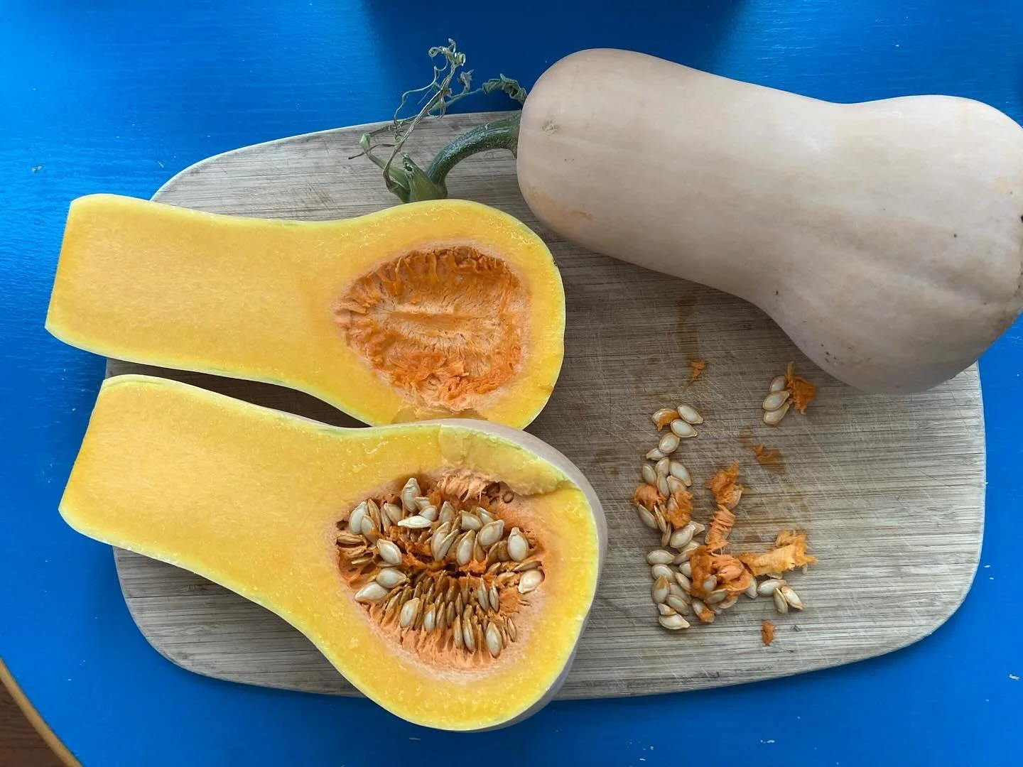 Beautiful Butternuts from the garden :) Isn&rsquo;t it amazing that with each squash you&rsquo;re given almost an infinite number of chances to grow another squash?