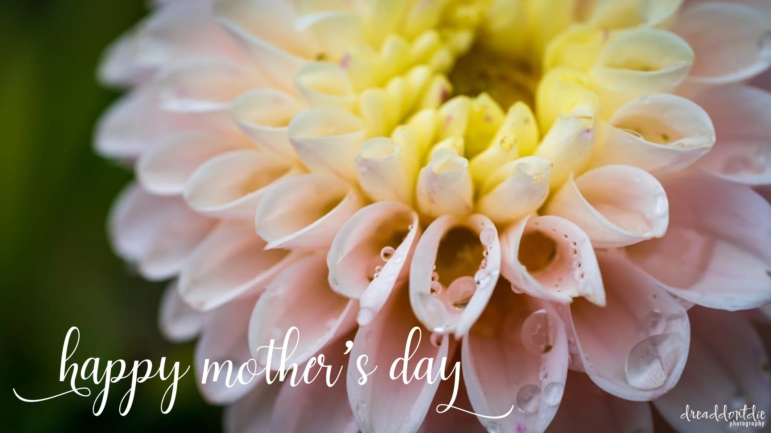  To ALL of the mothers out there  Biological or adopted  Chosen or circumstance  Mothers of animals and neighborhood kids  Mothers who have come before  And those still yet to be  You are needed  You are appreciated  And we love you.  Happy Mother’s 